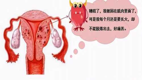 <b>广州新华医院有试管婴儿包成功套餐吗？,广州试管助孕套餐包含哪些服务？?</b>
