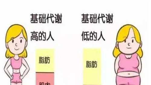 广州试管代孕的好处|港大深圳医院试管婴儿成功率高吗？做一次试管婴儿要多