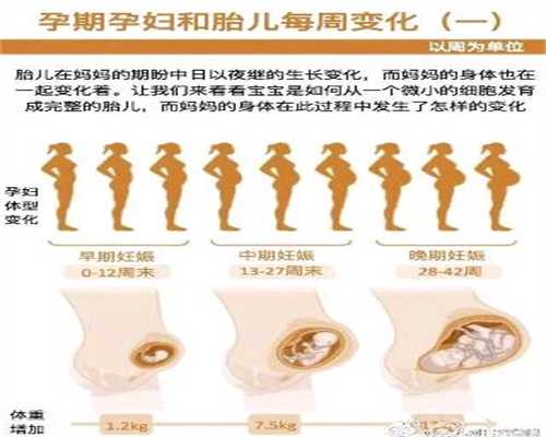 广州代怀孕合同:孕妇能不能吃调料