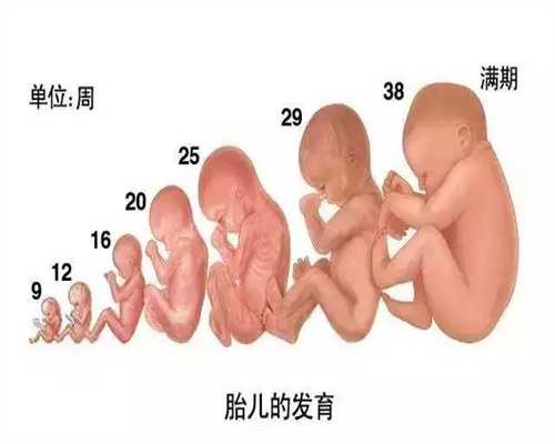 广州代生孩子微信群:七种让你降低生育力的食物