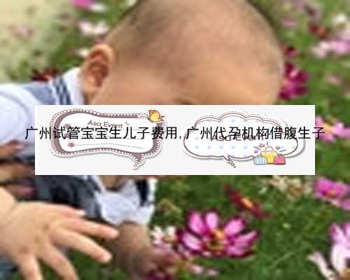 广州代孕产子公司成功率|x45Pd_wp02b_两步移植法移植两个胚胎成双胞胎的多吗？