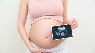 专业供卵机构地址_51宝贝助孕机构_泰国试管婴儿如何确保高龄女性的成功率如