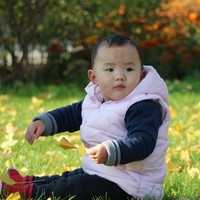广州现在找代孕需要多少钱_宁波一院做试管婴儿费用多少钱？